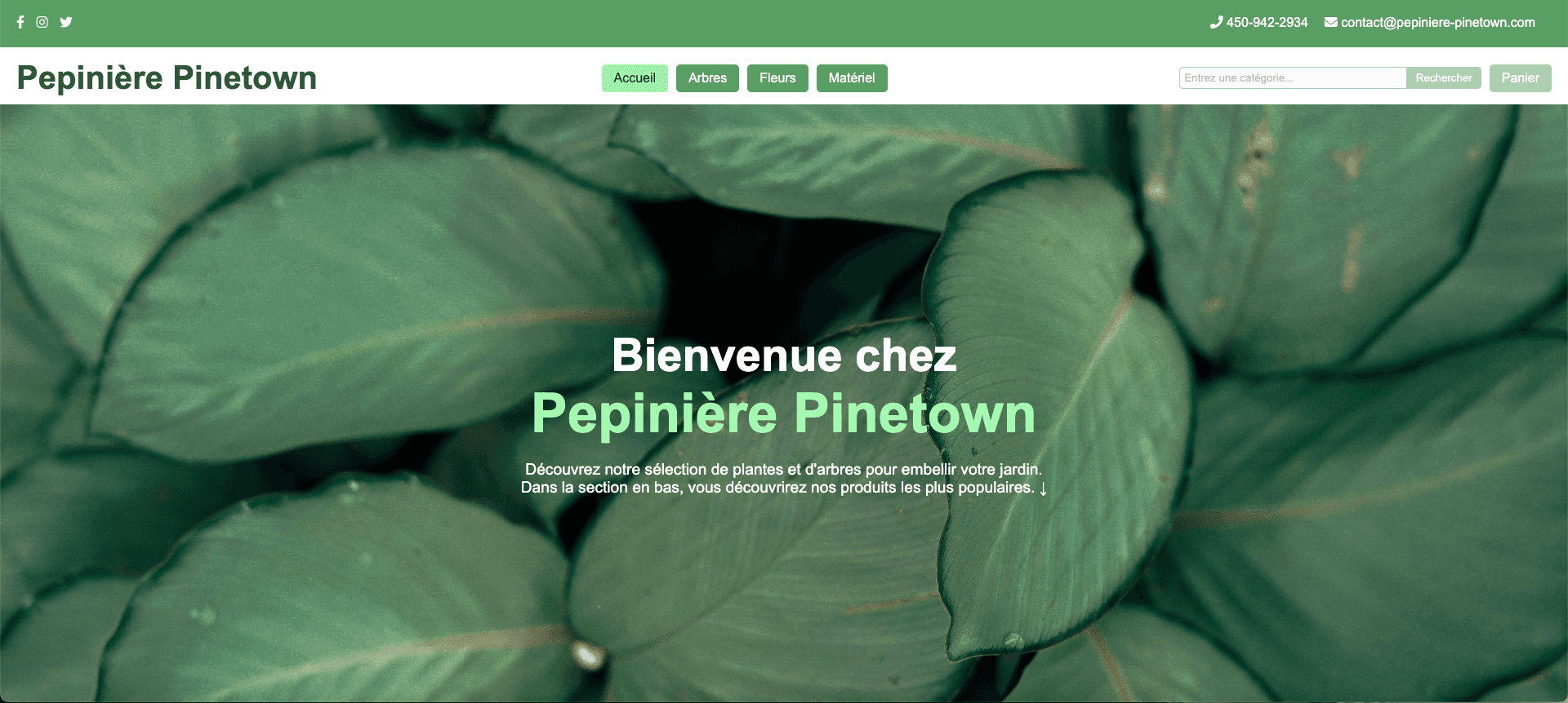 Site web d'une Pépinière